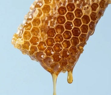 Manuka honeycomb dripping honey